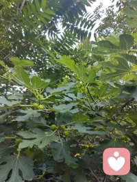 【宇凡道·人道渡化解脱篇】
恨意焚身，先伤的从来都是自己；执念为枷，困住的也从来只有本心。别拿别人的错，熬干自己的心力；别用翻旧账的力气，拖垮自己的元神。天公自会讨账，因果自会清算，你不必做那个执剑的人。痛不伤人，执痛者自伤；劫不困人，执劫者自缚。心若困在过往，处处都是枷锁；心若学会转身，步步皆是新生。放过别人，是慈悲；放过自己，才是修行。不报复，不是宽恕他，而是护住自己的元神，不被他人的业力拖入深渊，不教烂人的错，脏了你剩下的路。
 
心无挂碍，方能步步生莲。🙏配图