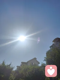 护花令赠祖国少年
 
曾披甲执锐守家国山河，
今卸甲为灯护少年清荷。
曾护他们的父母安于烟火，
今为他们撑一片无雨的角落。
 
不必让稚嫩的肩，扛大人的错，
不必让清澈的眼，染俗世的浊。
少年是花，是初升的朝阳，
是民族的根，是未来的脉搏。
 
我以倾听为盾，以温柔为锁，
护你心事，护你忐忑，护你少年的梦不被磨。
愿你只管向阳生长，不必怕风雨滂沱，
我在你身后，做你永远的、不熄的灯火。
待你长成参天大树，撑起自己的天地轮廓，
再回头，你会看见，我们曾守着你，从尘埃里开出花朵。配图