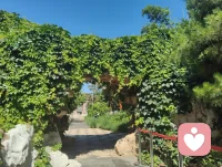 长亭外，古道边，芳草碧连天！配图