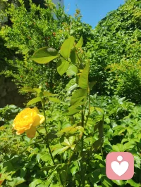 长亭外，古道边，芳草碧连天！配图