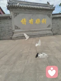 拜谒弘一法师故居，一梦《送别》，长歌终日于津门天地彩云间，长亭外，古道边，芳草碧连天！
身为律宗传人，不求踏足方外，只愿在人间守律修心。
怀赤子爱国之情，担为人父的责任。今即将归返内蒙，红尘辗转，初心不改，永续师者精神。
《送别》作者：李叔同（弘一法师）
 长亭外，古道边，芳草碧连天。
晚风拂柳笛声残，夕阳山外山。
 天之涯，地之角，知交半零落。
一壶浊酒尽余欢，今宵别梦寒。配图