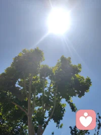 津门微恙记。
昨日准备辞别津门，去李叔同故居拜谒，原拟明日便归内蒙。出租车内冷气太盛，海河边漫步一身风尘热汗被骤然吹透，寒邪悄然而入。夜里便觉鼻塞头沉，喉间发紧，今晨去医院复查咳血症状，心肺毛细血管尚未完全修复，医生建议继续疗养，虽无咳血之症，却也知这身子，容不得半点硬撑。
宇凡日日在倾听里劝来访者，要先接住自己，此刻才知，这话最该说给我自己听。
想起家中幼子，父亲的牵挂，原想着赶回去护着他们，可转念一想：要做长久的守护，总得先把自己的身体养得扎实，哪能带着半残的状态上路？于是索性停了行程，不再急着赶路。
照着倪师顺时调气的法子，晨起借阳气升发，用荆防颗粒轻宣表寒；午时气机流转，冲了包小柴胡理顺半表半里的滞塞；等待今晚入夜再用银翘配荆防，清余热、散寒邪。没有猛药强攻，只是顺着身体的节奏，轻轻推一把，给它修复的时间。
窗外的津城依旧微凉，可我知道，草原的风晚几天吹到身上，也没什么。所谓守护，从来不是急着奔赴，而是先把自己的灯点亮，才能照亮归途，护着身后的人。
等这阵微恙退去，我再带着一身清爽，踏上去往草原的路。配图