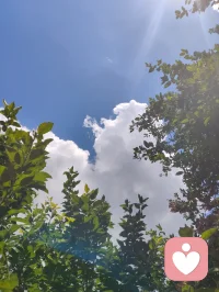 宇凡心怀光明，暖阳相伴艳泽高照，遥望天边云卷云舒！配图