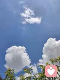 宇凡心怀光明，暖阳相伴艳泽高照，遥望天边云卷云舒！配图