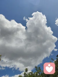宇凡心怀光明，暖阳相伴艳泽高照，遥望天边云卷云舒！配图