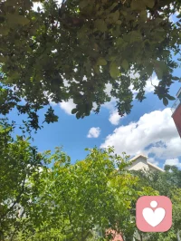 宇凡心怀光明，暖阳相伴艳泽高照，遥望天边云卷云舒！配图