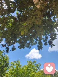 宇凡心怀光明，何处不是彩云间！配图