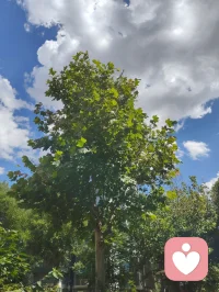 宇凡心怀光明，何处不是彩云间！配图