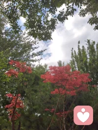 宇凡掌中旋日月，核里见山河。
宇凡守心为灯，如盘核桃一般，在日复一日的摩挲中，褪去浮躁，养出温润。
纹路的沟壑，是红尘炼心的痕迹；掌心的温度，是对抗风霜的暖意。
心不浮，路不躁，慢下来，方能养出这抹枣红般的通透。
心怀光明，何处不是彩云间？这掌中一对，便是宇凡修行的方寸道场。配图