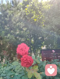 宇凡掌中旋日月，核里见山河。
宇凡守心为灯，如盘核桃一般，在日复一日的摩挲中，褪去浮躁，养出温润。
纹路的沟壑，是红尘炼心的痕迹；掌心的温度，是对抗风霜的暖意。
心不浮，路不躁，慢下来，方能养出这抹枣红般的通透。
心怀光明，何处不是彩云间？这掌中一对，便是宇凡修行的方寸道场。配图