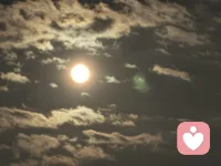 宇凡掌中旋日月，核里见山河。
宇凡守心为灯，如盘核桃一般，在日复一日的摩挲中，褪去浮躁，养出温润。
纹路的沟壑，是红尘炼心的痕迹；掌心的温度，是对抗风霜的暖意。
心不浮，路不躁，慢下来，方能养出这抹枣红般的通透。
心怀光明，何处不是彩云间？这掌中一对，便是宇凡修行的方寸道场。配图