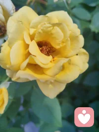 菩萨保佑您，你在心上称为您！
视君为心上之人，故称您。祈菩萨庇佑，愿每一位刷到的朋友身康体健、诸事顺遂。感念一路相伴，福运常随，您吉祥🙏配图
