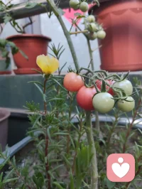 菩萨保佑您，你在心上称为您！
视君为心上之人，故称您。祈菩萨庇佑，愿每一位刷到的朋友身康体健、诸事顺遂。感念一路相伴，福运常随，您吉祥🙏配图