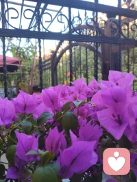 菩萨保佑您，你在心上称为您！
视君为心上之人，故称您。祈菩萨庇佑，愿每一位刷到的朋友身康体健、诸事顺遂。感念一路相伴，福运常随，您吉祥🙏配图