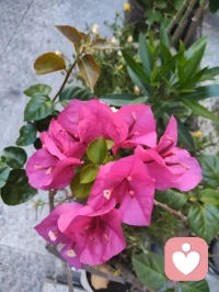 菩萨保佑您，你在心上称为您！
视君为心上之人，故称您。祈菩萨庇佑，愿每一位刷到的朋友身康体健、诸事顺遂。感念一路相伴，福运常随，您吉祥🙏配图
