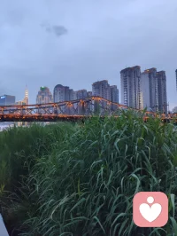 《爱在时光里回响》（发行日期：2026年2月24日）

（热爱可抵岁月漫长！以海为界，以光为引！）
 
当爱情的风突然转向
甜蜜的篇章轻轻泛黄
你还在旧梦里独自彷徨
却不知现实已变了模样
 
愿时光温柔抚平所有伤
愿岁月漫长心依然明亮
把爱轻轻藏在岁月过往
让回响温暖余生时光
 
当深情散场只剩满心伤
可生命的光还在远方
别让一时的迷茫绝望
吞噬了那些未开的希望
 
愿所有风霜都化作暖阳
愿每份善良都被人欣赏
爱在时光里轻轻在回响
让幸福停在你的心房
 
生命是场悲喜的交响
有快乐登场也有痛苦来访
热爱它就别怕跌宕
笑看潮落潮涨岁月绵长
 
愿所有遗憾都化作晴朗
愿每份坚强都被人珍藏
爱在时光里轻轻在回响
伴你走过每一段远方
 
愿时光温柔抚平所有伤
愿所有风霜都化作暖阳
愿所有风霜都化作晴朗
愿每份坚强都被人珍藏配图