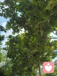 《自由身不是自由人》（发行时间：2026-02-24）
 我问你快乐还剩几分？
我来自某个小镇 某个小村
从小到大也无人问津
我踏上火车 勇敢的四处狂奔
每站都有人进门 有人转身
 
我也想逃脱 俗世的囚困
做个逍遥的 过路人
看惯人间聚散的剧本
写了多少 无奈的戏份
 
我空有人间 自由的身
可却非红尘 自由的人
难道洒脱 是一种天命
为何我总 是差了几分
 
有太多的人 困俗世的门
有人想逃 却不敢出声
奔波的人 只为了碎银几文
我问你 快乐还剩几分
 
（重复）
我也想逃脱 俗世的囚困
做个逍遥的 过路人
看惯人间聚散的剧本
写了多少 无奈的戏份
 
我空有人间 自由的身
可却非红尘 自由的人
难道洒脱 是一种天命
为何我总 是差了几分
 
有太多的人 困俗世的门
有人想逃 却不敢出声
奔波的人 只为了碎银几文
我问你 快乐还剩几分
 
我空有人间 自由的身
可却非红尘 自由的人
难道洒脱 是一种天命
为何我总 是差了几分
 
有太多的人 困俗世的门
有人想逃 却不敢出声
奔波的人 只为了碎银几文
我问你 快乐还剩几分？配图