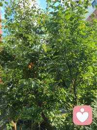 《自由身不是自由人》（发行时间：2026-02-24）
 我问你快乐还剩几分？
我来自某个小镇 某个小村
从小到大也无人问津
我踏上火车 勇敢的四处狂奔
每站都有人进门 有人转身
 
我也想逃脱 俗世的囚困
做个逍遥的 过路人
看惯人间聚散的剧本
写了多少 无奈的戏份
 
我空有人间 自由的身
可却非红尘 自由的人
难道洒脱 是一种天命
为何我总 是差了几分
 
有太多的人 困俗世的门
有人想逃 却不敢出声
奔波的人 只为了碎银几文
我问你 快乐还剩几分
 
（重复）
我也想逃脱 俗世的囚困
做个逍遥的 过路人
看惯人间聚散的剧本
写了多少 无奈的戏份
 
我空有人间 自由的身
可却非红尘 自由的人
难道洒脱 是一种天命
为何我总 是差了几分
 
有太多的人 困俗世的门
有人想逃 却不敢出声
奔波的人 只为了碎银几文
我问你 快乐还剩几分
 
我空有人间 自由的身
可却非红尘 自由的人
难道洒脱 是一种天命
为何我总 是差了几分
 
有太多的人 困俗世的门
有人想逃 却不敢出声
奔波的人 只为了碎银几文
我问你 快乐还剩几分？配图