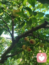 《自由身不是自由人》（发行时间：2026-02-24）
 我问你快乐还剩几分？
我来自某个小镇 某个小村
从小到大也无人问津
我踏上火车 勇敢的四处狂奔
每站都有人进门 有人转身
 
我也想逃脱 俗世的囚困
做个逍遥的 过路人
看惯人间聚散的剧本
写了多少 无奈的戏份
 
我空有人间 自由的身
可却非红尘 自由的人
难道洒脱 是一种天命
为何我总 是差了几分
 
有太多的人 困俗世的门
有人想逃 却不敢出声
奔波的人 只为了碎银几文
我问你 快乐还剩几分
 
（重复）
我也想逃脱 俗世的囚困
做个逍遥的 过路人
看惯人间聚散的剧本
写了多少 无奈的戏份
 
我空有人间 自由的身
可却非红尘 自由的人
难道洒脱 是一种天命
为何我总 是差了几分
 
有太多的人 困俗世的门
有人想逃 却不敢出声
奔波的人 只为了碎银几文
我问你 快乐还剩几分
 
我空有人间 自由的身
可却非红尘 自由的人
难道洒脱 是一种天命
为何我总 是差了几分
 
有太多的人 困俗世的门
有人想逃 却不敢出声
奔波的人 只为了碎银几文
我问你 快乐还剩几分？配图