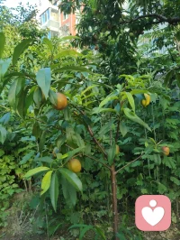 《自由身不是自由人》（发行时间：2026-02-24）
 我问你快乐还剩几分？
我来自某个小镇 某个小村
从小到大也无人问津
我踏上火车 勇敢的四处狂奔
每站都有人进门 有人转身
 
我也想逃脱 俗世的囚困
做个逍遥的 过路人
看惯人间聚散的剧本
写了多少 无奈的戏份
 
我空有人间 自由的身
可却非红尘 自由的人
难道洒脱 是一种天命
为何我总 是差了几分
 
有太多的人 困俗世的门
有人想逃 却不敢出声
奔波的人 只为了碎银几文
我问你 快乐还剩几分
 
（重复）
我也想逃脱 俗世的囚困
做个逍遥的 过路人
看惯人间聚散的剧本
写了多少 无奈的戏份
 
我空有人间 自由的身
可却非红尘 自由的人
难道洒脱 是一种天命
为何我总 是差了几分
 
有太多的人 困俗世的门
有人想逃 却不敢出声
奔波的人 只为了碎银几文
我问你 快乐还剩几分
 
我空有人间 自由的身
可却非红尘 自由的人
难道洒脱 是一种天命
为何我总 是差了几分
 
有太多的人 困俗世的门
有人想逃 却不敢出声
奔波的人 只为了碎银几文
我问你 快乐还剩几分？配图