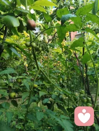 《自由身不是自由人》（发行时间：2026-02-24）
 我问你快乐还剩几分？
我来自某个小镇 某个小村
从小到大也无人问津
我踏上火车 勇敢的四处狂奔
每站都有人进门 有人转身
 
我也想逃脱 俗世的囚困
做个逍遥的 过路人
看惯人间聚散的剧本
写了多少 无奈的戏份
 
我空有人间 自由的身
可却非红尘 自由的人
难道洒脱 是一种天命
为何我总 是差了几分
 
有太多的人 困俗世的门
有人想逃 却不敢出声
奔波的人 只为了碎银几文
我问你 快乐还剩几分
 
（重复）
我也想逃脱 俗世的囚困
做个逍遥的 过路人
看惯人间聚散的剧本
写了多少 无奈的戏份
 
我空有人间 自由的身
可却非红尘 自由的人
难道洒脱 是一种天命
为何我总 是差了几分
 
有太多的人 困俗世的门
有人想逃 却不敢出声
奔波的人 只为了碎银几文
我问你 快乐还剩几分
 
我空有人间 自由的身
可却非红尘 自由的人
难道洒脱 是一种天命
为何我总 是差了几分
 
有太多的人 困俗世的门
有人想逃 却不敢出声
奔波的人 只为了碎银几文
我问你 快乐还剩几分？配图