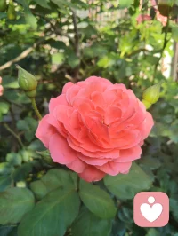 《自由身不是自由人》（发行时间：2026-02-24）
 我问你快乐还剩几分？
我来自某个小镇 某个小村
从小到大也无人问津
我踏上火车 勇敢的四处狂奔
每站都有人进门 有人转身
 
我也想逃脱 俗世的囚困
做个逍遥的 过路人
看惯人间聚散的剧本
写了多少 无奈的戏份
 
我空有人间 自由的身
可却非红尘 自由的人
难道洒脱 是一种天命
为何我总 是差了几分
 
有太多的人 困俗世的门
有人想逃 却不敢出声
奔波的人 只为了碎银几文
我问你 快乐还剩几分
 
（重复）
我也想逃脱 俗世的囚困
做个逍遥的 过路人
看惯人间聚散的剧本
写了多少 无奈的戏份
 
我空有人间 自由的身
可却非红尘 自由的人
难道洒脱 是一种天命
为何我总 是差了几分
 
有太多的人 困俗世的门
有人想逃 却不敢出声
奔波的人 只为了碎银几文
我问你 快乐还剩几分
 
我空有人间 自由的身
可却非红尘 自由的人
难道洒脱 是一种天命
为何我总 是差了几分
 
有太多的人 困俗世的门
有人想逃 却不敢出声
奔波的人 只为了碎银几文
我问你 快乐还剩几分？配图