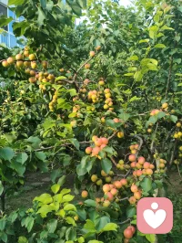 《自由身不是自由人》（发行时间：2026-02-24）
 我问你快乐还剩几分？
我来自某个小镇 某个小村
从小到大也无人问津
我踏上火车 勇敢的四处狂奔
每站都有人进门 有人转身
 
我也想逃脱 俗世的囚困
做个逍遥的 过路人
看惯人间聚散的剧本
写了多少 无奈的戏份
 
我空有人间 自由的身
可却非红尘 自由的人
难道洒脱 是一种天命
为何我总 是差了几分
 
有太多的人 困俗世的门
有人想逃 却不敢出声
奔波的人 只为了碎银几文
我问你 快乐还剩几分
 
（重复）
我也想逃脱 俗世的囚困
做个逍遥的 过路人
看惯人间聚散的剧本
写了多少 无奈的戏份
 
我空有人间 自由的身
可却非红尘 自由的人
难道洒脱 是一种天命
为何我总 是差了几分
 
有太多的人 困俗世的门
有人想逃 却不敢出声
奔波的人 只为了碎银几文
我问你 快乐还剩几分
 
我空有人间 自由的身
可却非红尘 自由的人
难道洒脱 是一种天命
为何我总 是差了几分
 
有太多的人 困俗世的门
有人想逃 却不敢出声
奔波的人 只为了碎银几文
我问你 快乐还剩几分？配图