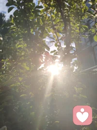 宇凡以宇凡道为灯，以倾听为舟。持澄澈本心，唤醒您与生俱来的生命力，好好爱自己，做生命真正的主人！
痛苦被看见，困惑被梳理，成长被托举。心理咨询从不是替人抉择，而是并肩同行，让改变顺着生命本然，缓缓发生。
宇凡以专业为尺，以接纳为怀，承接您的迷茫与不安，化解执念与纷扰。倾诉即是疗愈，陪您走出创伤、稳住身心，重拾生活的节奏与力量。
宇凡不为您划定前路，只陪您看清过往；不替您书写答案，只伴您重拾内心光芒。愿做您的暖心树洞，亦是修行同路人。
我们不必苛求完美，坦然做真实的自己；不必急于求成，接纳当下所有发生。允许一切发生，接纳所有馈赠！
宇凡道，渡人亦渡己，前路漫漫，我们慢慢来。配图
