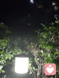夜色的温柔，总有一盏心灯为你照亮回家的路，总有一扇窗为你留灯！配图