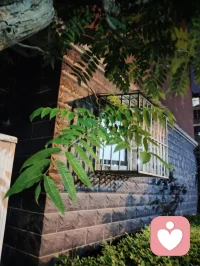 夜色的温柔，总有一盏心灯为你照亮回家的路，总有一扇窗为你留灯！配图