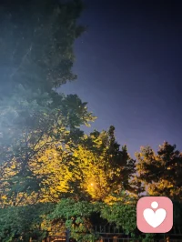 稳得住自己才能托举住一切！配图