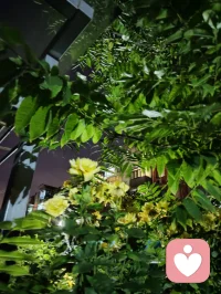 稳得住自己才能托举住一切！配图