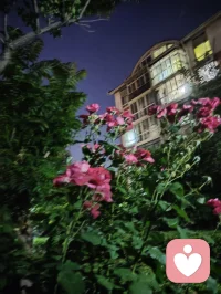 稳得住自己才能托举住一切！配图