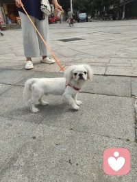 万物有灵，治愈人心。配图