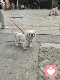 万物有灵，治愈人心。配图