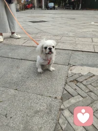 万物有灵，治愈人心。配图