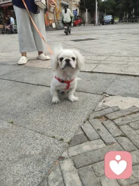 万物有灵，治愈人心。配图