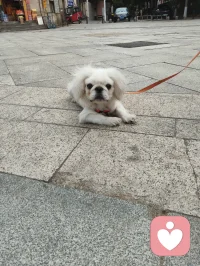 万物有灵，治愈人心。配图