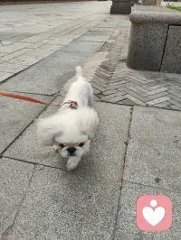 万物有灵，治愈人心。配图
