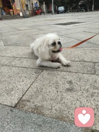万物有灵，治愈人心。配图