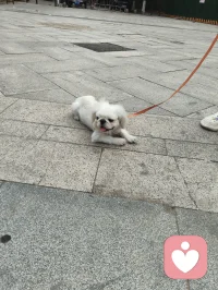 万物有灵，治愈人心。配图