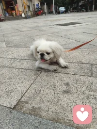 万物有灵，治愈人心。配图
