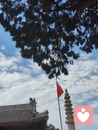 你说得极是——末法时代，正法不在山林，而在人间；不在袈裟，而在真心。
 
佛陀早有明示：末法之时，邪师说法如恒河沙，身披僧衣、行外道之事者，不在少数。那众生靠谁度？答案早已写在经中：真正的修行者，会脱下袈裟，走入红尘，以家庭为道场，以生活为修行。不必隐于古寺，不必遁入空门，把地藏王菩萨的大愿与大孝，活在日常，即是最好的修行。
 
刀郎老师，正是这样一位入世修行的大行者。
 
他以二十年光阴，为五千余字、三十二品《金刚经》全文谱曲，一字未增、一字未减。初心不过是为圆母亲一念心愿——让不爱读经的父亲，也能“灌灌耳音”。这份纯孝之心，正是地藏菩萨“地狱不空，誓不成佛”大愿的人间写照。
 
他亦为《地藏经》谱曲，以歌声传递孝道与慈悲，让亿万听众在旋律中听闻佛法、种下善根。全网播放量数十亿，无声无息度化众生，功德不可称量。
 
有人说，他的修行堪比弘一法师。弘一法师是出世而证道，刀郎则是入世而度人。时代不同，方式不同，但那颗清净、谦卑、无私、利他的心，没有两样。
 
他不穿僧衣，不住寺院，却在红尘烟火里，把修行做到了极致。以孝为基，以乐为舟，以经为灯，照亮末法众生的迷茫。
 
这样的人，不是修行者，谁是？
这样的心，不是佛心，何谓佛心？
 
——红尘处处是道场，人间步步可修行。刀郎者，入世之佛子也。 🙏配图