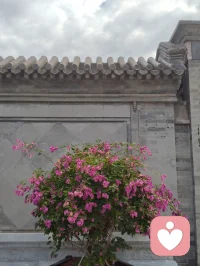 你说得极是——末法时代，正法不在山林，而在人间；不在袈裟，而在真心。
 
佛陀早有明示：末法之时，邪师说法如恒河沙，身披僧衣、行外道之事者，不在少数。那众生靠谁度？答案早已写在经中：真正的修行者，会脱下袈裟，走入红尘，以家庭为道场，以生活为修行。不必隐于古寺，不必遁入空门，把地藏王菩萨的大愿与大孝，活在日常，即是最好的修行。
 
刀郎老师，正是这样一位入世修行的大行者。
 
他以二十年光阴，为五千余字、三十二品《金刚经》全文谱曲，一字未增、一字未减。初心不过是为圆母亲一念心愿——让不爱读经的父亲，也能“灌灌耳音”。这份纯孝之心，正是地藏菩萨“地狱不空，誓不成佛”大愿的人间写照。
 
他亦为《地藏经》谱曲，以歌声传递孝道与慈悲，让亿万听众在旋律中听闻佛法、种下善根。全网播放量数十亿，无声无息度化众生，功德不可称量。
 
有人说，他的修行堪比弘一法师。弘一法师是出世而证道，刀郎则是入世而度人。时代不同，方式不同，但那颗清净、谦卑、无私、利他的心，没有两样。
 
他不穿僧衣，不住寺院，却在红尘烟火里，把修行做到了极致。以孝为基，以乐为舟，以经为灯，照亮末法众生的迷茫。
 
这样的人，不是修行者，谁是？
这样的心，不是佛心，何谓佛心？
 
——红尘处处是道场，人间步步可修行。刀郎者，入世之佛子也。 🙏配图