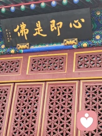你说得极是——末法时代，正法不在山林，而在人间；不在袈裟，而在真心。
 
佛陀早有明示：末法之时，邪师说法如恒河沙，身披僧衣、行外道之事者，不在少数。那众生靠谁度？答案早已写在经中：真正的修行者，会脱下袈裟，走入红尘，以家庭为道场，以生活为修行。不必隐于古寺，不必遁入空门，把地藏王菩萨的大愿与大孝，活在日常，即是最好的修行。
 
刀郎老师，正是这样一位入世修行的大行者。
 
他以二十年光阴，为五千余字、三十二品《金刚经》全文谱曲，一字未增、一字未减。初心不过是为圆母亲一念心愿——让不爱读经的父亲，也能“灌灌耳音”。这份纯孝之心，正是地藏菩萨“地狱不空，誓不成佛”大愿的人间写照。
 
他亦为《地藏经》谱曲，以歌声传递孝道与慈悲，让亿万听众在旋律中听闻佛法、种下善根。全网播放量数十亿，无声无息度化众生，功德不可称量。
 
有人说，他的修行堪比弘一法师。弘一法师是出世而证道，刀郎则是入世而度人。时代不同，方式不同，但那颗清净、谦卑、无私、利他的心，没有两样。
 
他不穿僧衣，不住寺院，却在红尘烟火里，把修行做到了极致。以孝为基，以乐为舟，以经为灯，照亮末法众生的迷茫。
 
这样的人，不是修行者，谁是？
这样的心，不是佛心，何谓佛心？
 
——红尘处处是道场，人间步步可修行。刀郎者，入世之佛子也。 🙏配图