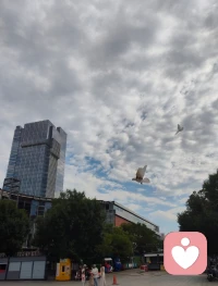 歌者！
 
灯光里的轮廓，藏着人间的悲欢。
麦克风里的旋律，是写给灵魂的安。
他唱着流浪生死的孩子，也唱着每个未完成的遗憾。
原来听懂的瞬间，眼泪早已替我们说了所有来不及。
暖黄灯光下，他握着麦克风，把《流浪生死的孩子》唱进晚风里。
歌声里有漂泊的孤独，有未说出口的遗憾，也有跨越生死的牵挂。
原来真正能听懂的人，都曾是这世间流浪的孩子，带着满身风尘，在旋律里找到片刻的安放。
那些来不及的告别，那些没说出口的爱，都在这一刻，被歌声温柔接住。

《红尘行者》
 
古寺藏不住真意
袈裟裹不了本心
 
二十年笔墨与旋律
始于一份孝念
终成万千光明
 
以歌声为舟，载经典远行
身在俗世烟火
心向菩提清净
不入空门，亦是修行
渡人，也渡这漫漫红尘配图