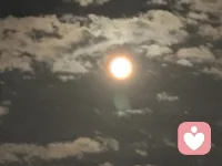 《尘外月》
 
主歌1
 
谁踏 半生风霜
布衣旧衫 步步赴远方
看尽 世态炎凉
有人登高揽星光
有人谷底数沧桑
也捧着一颗 初心不卑不亢
 
主歌2
 
尝过 人情薄凉
暗箭难防 冷眼撞胸膛
听过 蜚短流长
名利场中多虚妄
真心向来少声张
低着头 自有月光
照我步履稳 雨打风扬
 
预副歌
 
可知 繁华万丈
皆是幻象 皆是笼中网
可知 功过簿上
多少真话被掩藏
多少清白梦被伤
偏要守 一身坦荡
不赴庙堂 不逐虚妄
 
副歌
 
我当 弃浮华远尘嚣
一身孤勇 如旷野少年郎
我当 守本心行坦荡
风雨兼程 不卑亦不亢
我当 敬过往敬倔强
敬半生起落 未改旧模样
我当 敬那尘之外的月光
敬平凡人 岁岁年年 不折的脊梁
 
主歌3
 
看过 权贵争强
机关算尽 终究梦一场
怜过 众生奔忙
柴米油盐度日常
烟火人间藏善良
再大的 风浪跌宕
再小的 温热向往
不过是 你我皆在
红尘里 慢慢扛
不攀附谁的光
不沾染谁的脏
半生无名又何妨
心有明月 自明亮
 
副歌
 
我当 弃浮华远尘嚣
一身孤勇 如旷野少年郎
我当 守本心行坦荡
风雨兼程 不卑亦不亢
我当 敬过往敬倔强
敬半生起落 未改旧模样
我当 敬那尘之外的月光
敬平凡人 岁岁年年 不折的脊梁
 
尾声
 
致我 半生流浪
未忘初衷 未惧路漫长
致我 一身坦荡
不进庙堂 只恋尘外月光配图