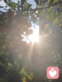 《宇凡行歌》
 
主歌1
 
宇落风尘 踏遍霜和寒
凡心未改 不惧路漫漫
半生漂泊 看过人情换
一身坦荡 不向名利弯
风卷旧衫 吹不散心燃
月照孤途 照亮我宇凡
 
主歌2
 
曾困低谷 无人问冷暖
也曾倔强 逆风独自站
红尘喧嚣 不迷眼与判
宇凡有道 守心自安然
踏过荆棘 步履仍稳健
半生起落 初心未曾偏
 
预副歌
 
不问庙堂 高堂多纷乱
只守本心 行我宇凡愿
风雨兼程 岁岁皆无憾
心有山海 自会得清欢
 
副歌
 
我是宇凡 踏天地漫漫
一身孤勇 破迷雾千滩
心向大道 不卑亦不叹
尘外月光 照我步步安
我是宇凡 历世事千帆
半生倔强 未改旧肝胆
道在心中 何惧路遥远
此生坦荡 不负宇凡缘
 
主歌3
 
尝过冷暖 知世间苦甜
看透虚妄 守一念清廉
宇凡之路 不争亦不辩
自有星河 为我落尘寰
半生无名 不折脊梁骨
一身风骨 胜过万重官
 
副歌
 
我是宇凡 踏天地漫漫
一身孤勇 破迷雾千滩
心向大道 不卑亦不叹
尘外月光 照我步步安
我是宇凡 历世事千帆
半生倔强 未改旧肝胆
道在心中 何惧路遥远
此生坦荡 不负宇凡缘
 
尾声
 
宇纳乾坤 心藏日月宽
凡行于世 大道自平安配图