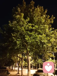 津门夜色温柔，海河两岸灯火漫过肩头，光影蝴蝶随晚风轻舞，落在并肩的身影上。
同行相向，漫步街头，感恩姐夫一路相伴，让平凡的夜有了温暖的重量。
愿每个独行的人，都能遇见这样一份陪伴；愿每颗藏着心事的灵魂，都有处可诉，安然入眠。美好相伴，宇凡愿你我皆安。配图