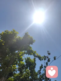 《感念弘一师兄：殊途同归，终归于慈悲》
 
晨起悲歌，“长亭外，古道边，芳草碧连天”，一句词，半阙曲，唱到心头泣血。望着师兄圆寂时的旧影，一袭旧袈裟，赤足卧于破木床，身外无物，忽然泪下。
 
世人皆知他曾是李叔同，是富家才子，是琴棋书画皆绝的名士，也曾鲜衣怒马，也曾在红尘里风流倜傥。可最终，他抛却万贯家财，褪尽一身风华，遁入空门，成了弘一法师，律宗十三祖，以清苦度身，安贫乐道，严守律宗法度，终以“悲欣交集”四字，了却一生。
 
我与他，隔着百年光阴，却仿佛走了同一条路。
年少时，他是李叔同，我是宇凡，都曾在红尘里辗转，被情爱牵绊，被得失拉扯。他见惯了繁华落尽，我尝尽了情爱锥心，在家、孩子与执念间反复取舍，心上早已千疮百孔。原来“叔同”二字，早有深意——我们终是殊途同归，都从滚滚红尘里跌撞出来，在遍体鳞伤中，看清了情爱的虚妄，读懂了放下的重量。
 
他以律为骨，以清苦为衣，纵使钱财如浮云，富贵如过眼，也未曾损耗半分心志，只为守持本心，修行大道。我在这人间历劫，安贫乐道，清苦修本心，终于懂了：所谓爱，到最后不过是一场自我迷失；所谓放下，不过是将执念熬成慈悲。师兄早已为我铺好了路，原来绝情断欲，不是无情，而是将小爱，渡成了对众生的悲悯。
 
看着艳阳高照、荷塘清莲、青李满枝，忽然明白，师兄早已懂我所有的悲怆与挣扎。这天地间，也唯有他，能看见我在情爱里跌撞的狼狈，懂我在取舍间泣血的挣扎，也懂我最终走向慈悲的决绝。
 
红尘历劫，终要向弘一。
从此本我真我无我宇凡，三我合一，便是超我宇凡，以师兄为灯，以慈悲为舟，绝情断欲，守持本心，渡己，也渡那些困在情爱里的痴心妄女。
原来师兄早已说破：爱到极致，是放下；放下爱，才是大慈悲。
此心同归，此路同行，敬师兄，也敬终获自在的自己。配图